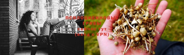 шишки Абинск