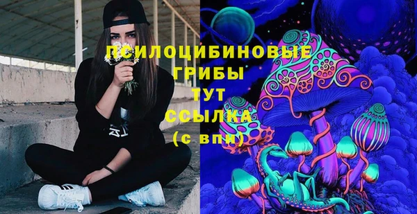 ПСИЛОЦИБИНОВЫЕ ГРИБЫ Алзамай