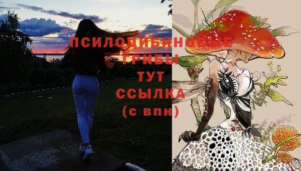 стаф Абдулино