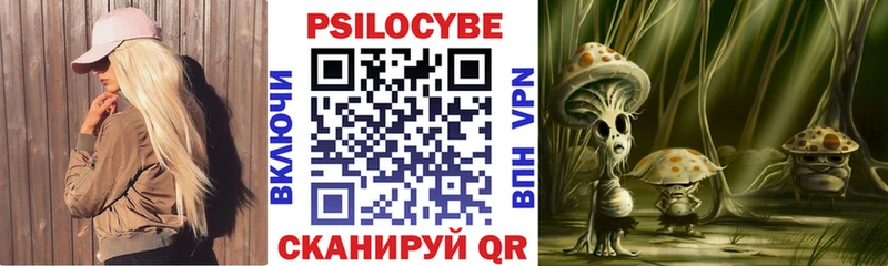 Псилоцибиновые грибы Psilocybine cubensis  хочу   Плавск 